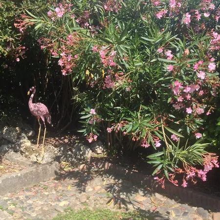 Bed and Breakfast Villa Vianne B&B Vianne